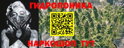 скорость Заволжье
