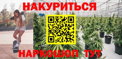 гидра Заводоуковск