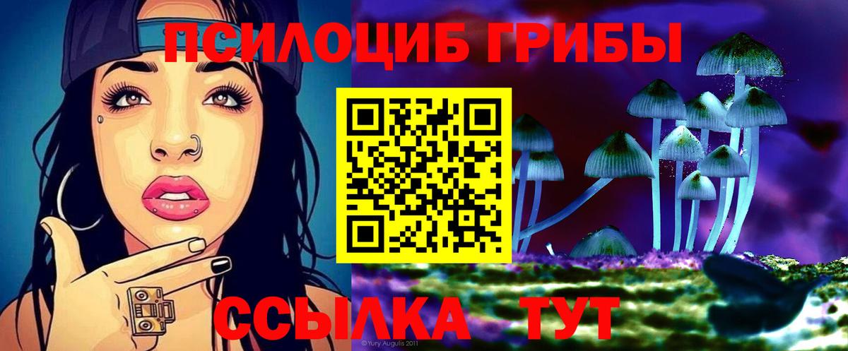 Галлюциногенные грибы Cubensis Кулебаки