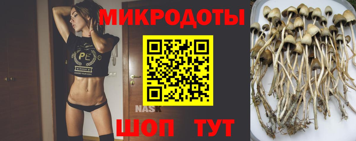 Кулебаки  Галлюциногенные грибы Psilocybine cubensis  Вход с VPN  Псилоцибиновые грибы мицелий 